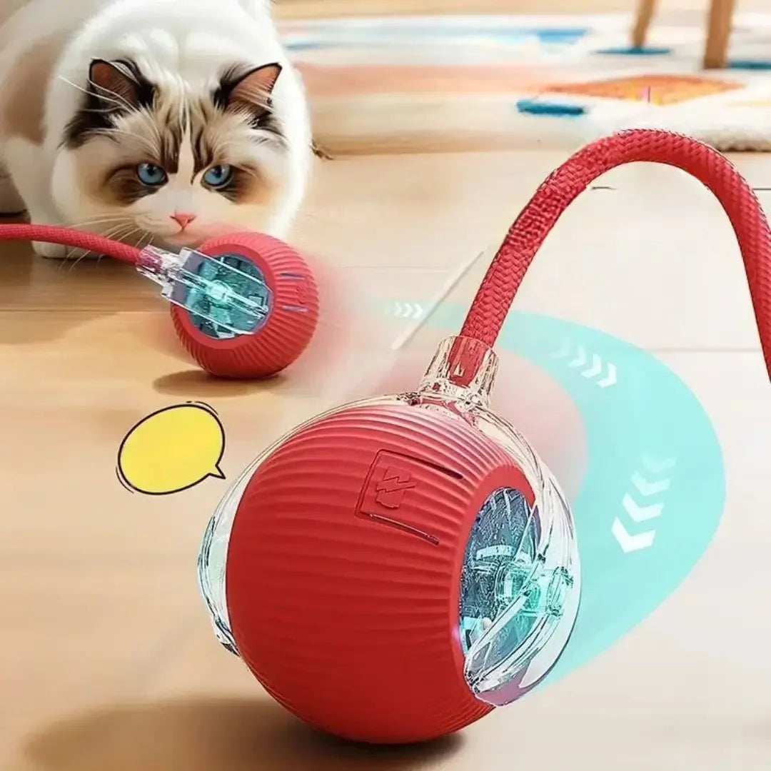 Juguete interactivo para mascotas