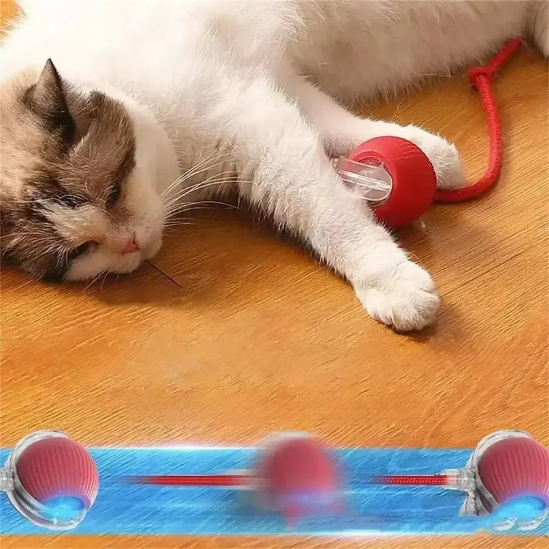 Juguete interactivo para mascotas